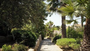 Un sendero pavimentado bordeado por abundante vegetación y palmeras, que conduce a un edificio con techo de tejas.