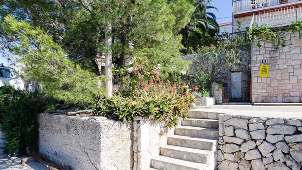 A stone staircase leading to a building with a stone wall and a small garden area with plants and a tree.