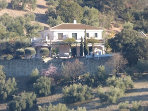 A view of Cortijo Rocas Altas from across the valley