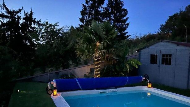 Una piscina con cubierta azul, rodeada de follaje y una palmera.