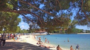 A beach with people sunbathing and swimming, surrounded by trees and buildings in the background.