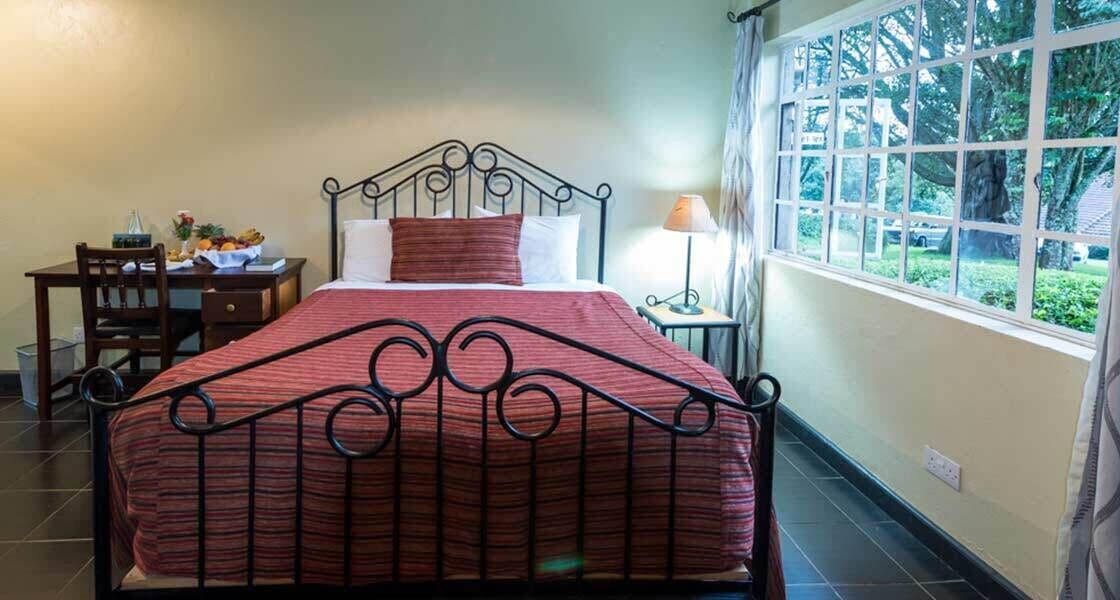 A room with a bed, a desk with a chair, a lamp, and a window with a view of greenery.