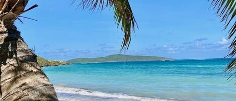 Plage à proximité, chaises longues, serviettes de plage