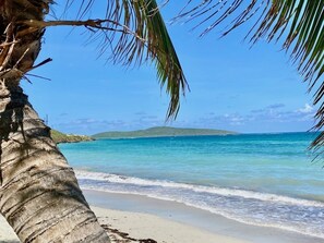 A beach with clear turquoise water, a sandy shore, and a palm tree. - 2BD/2BA on the golf course with stunning ocean views (Christiansted)