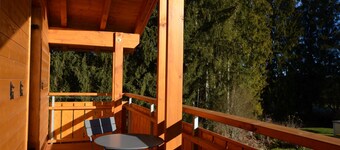 Platzhirsch - vacation home, sauna and fireplace, ideal for 6 adults, dog allowed