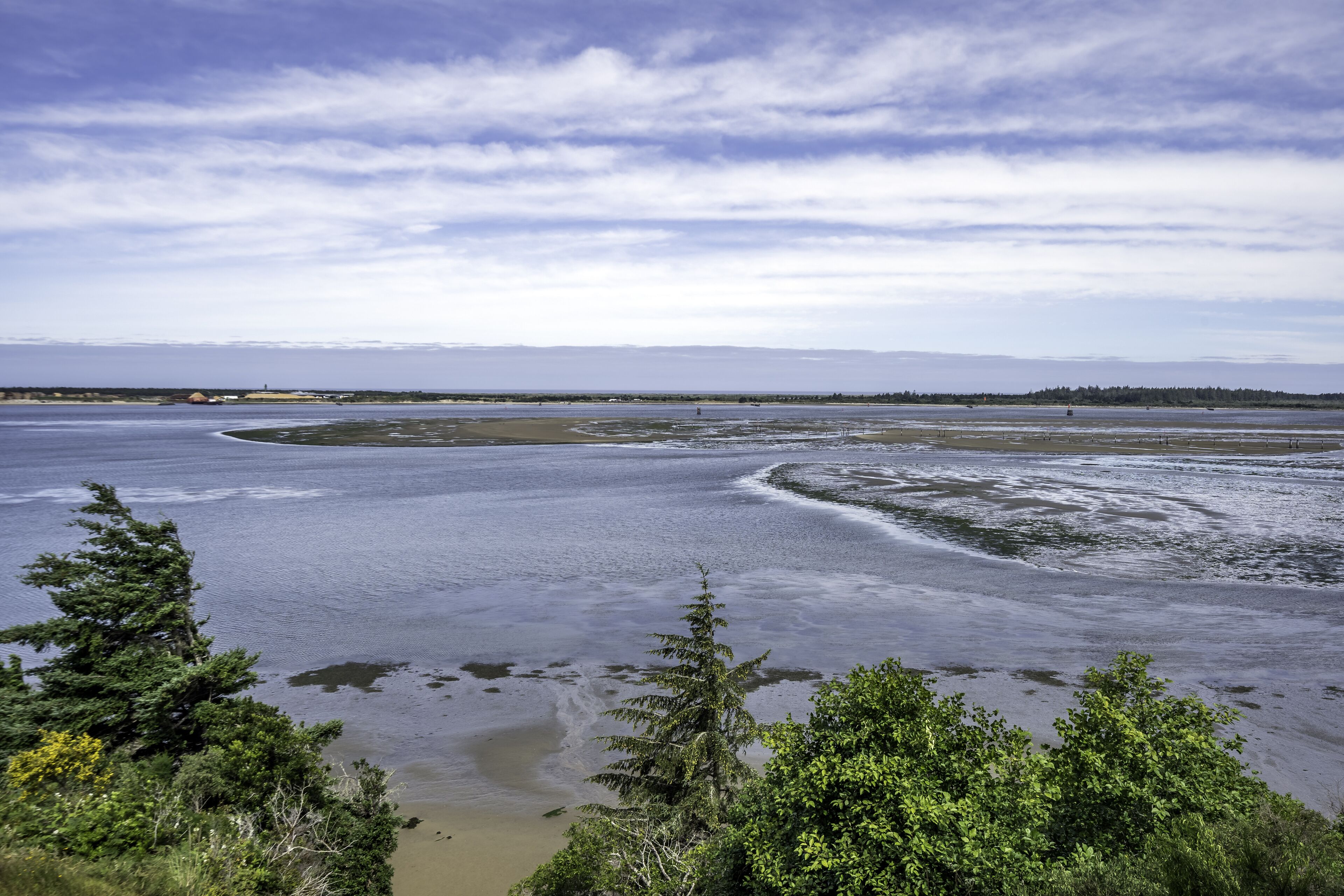 Paisagem costeira com um rio largo, árvores e uma linha de costa distante.