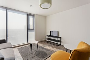 Flat-screen TV