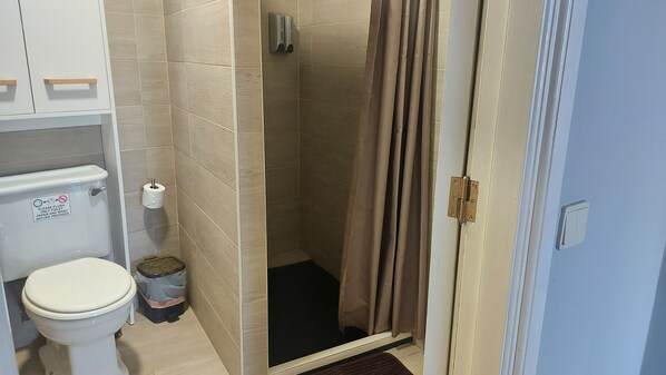 Combined shower/tub, hair dryer, towels, soap