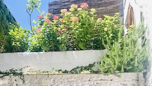 En gårdsplads med plantekasser, en dør og en hvid væg.