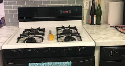 Amy’s little cabin with 30 aces wood land near torch lake and bellaire lake
