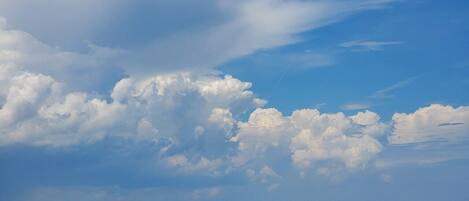 Nær stranden, solsenger og strandhåndklær