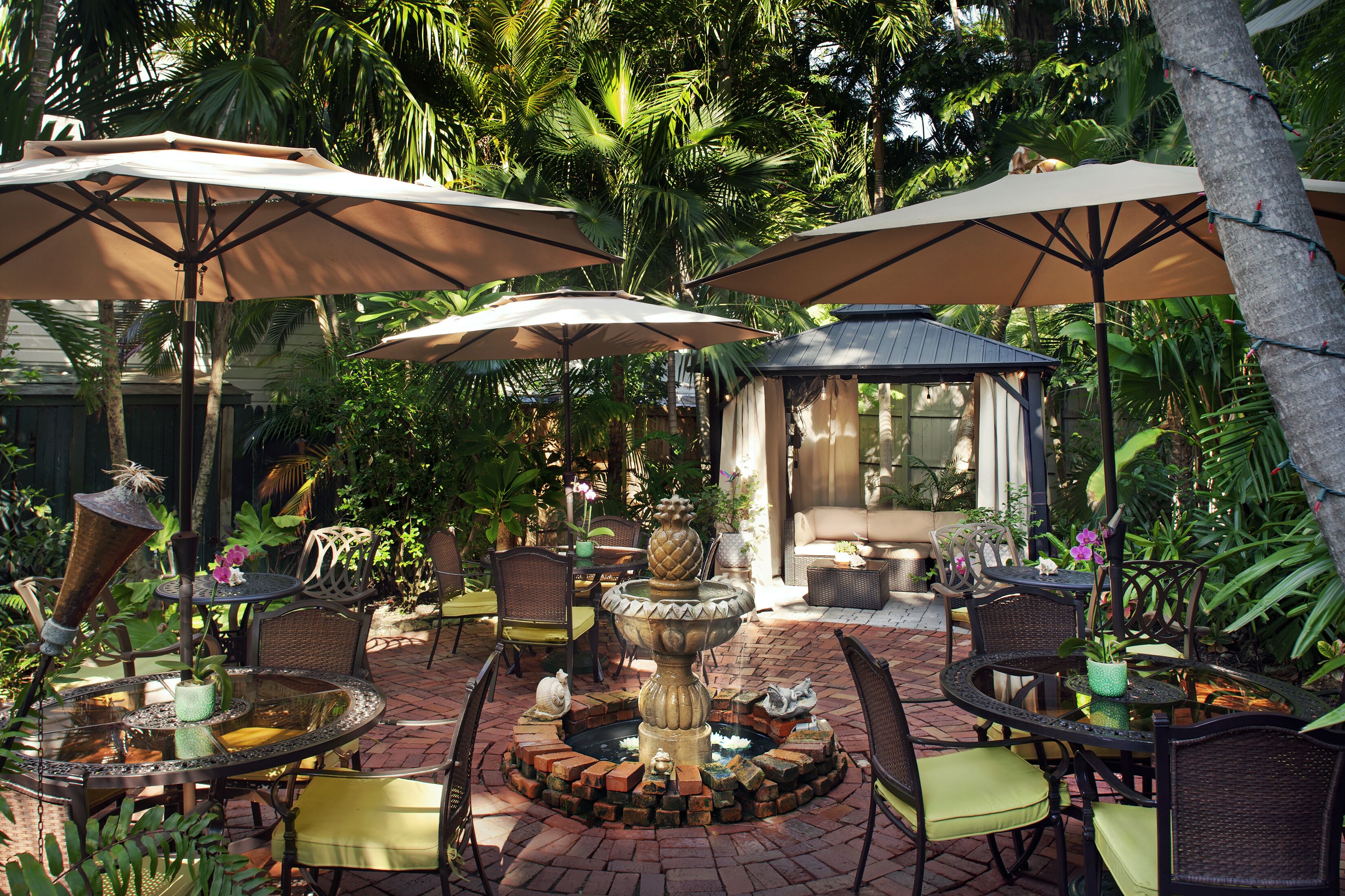 Photo - The Mermaid & The Alligator