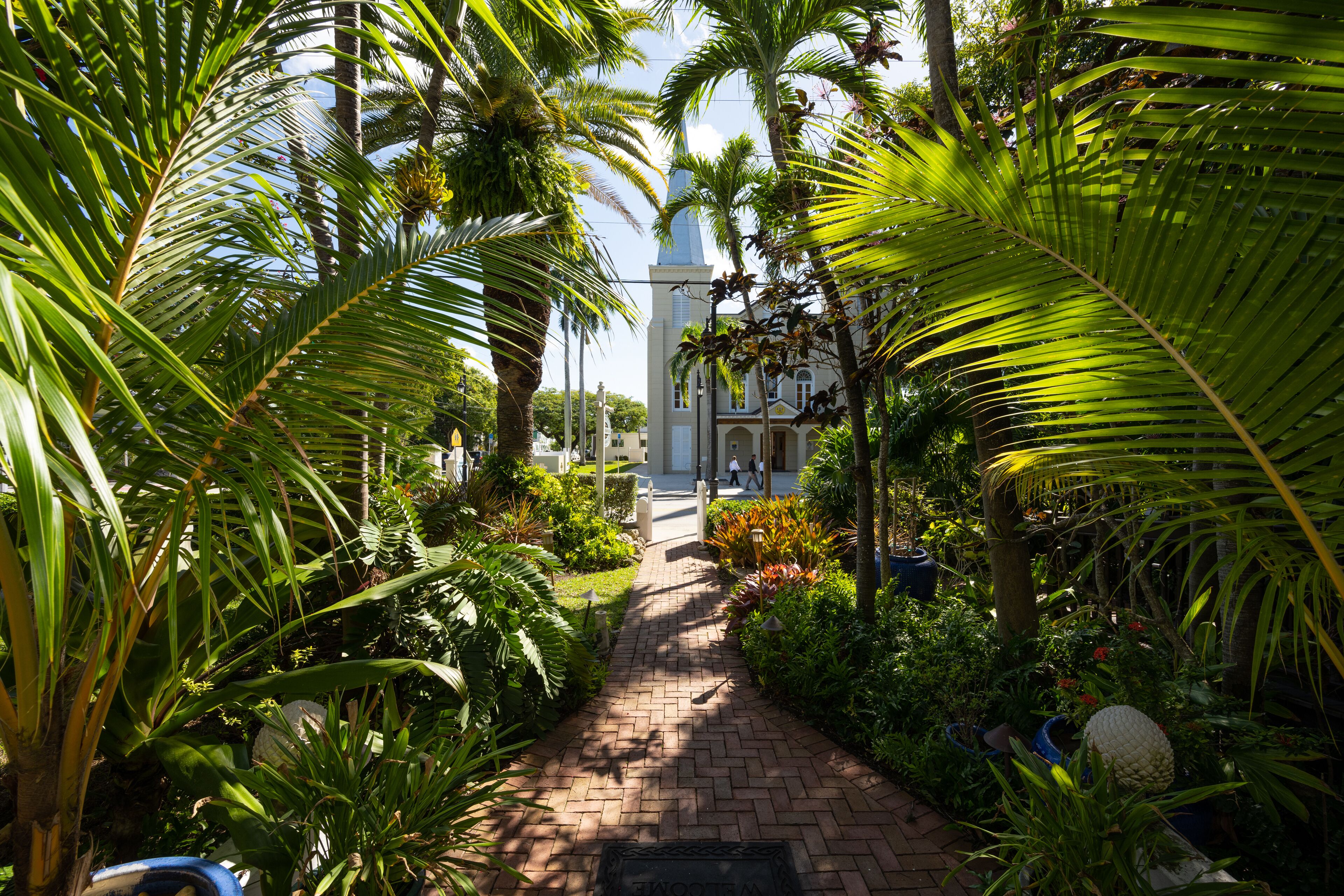 Photo - The Mermaid & The Alligator