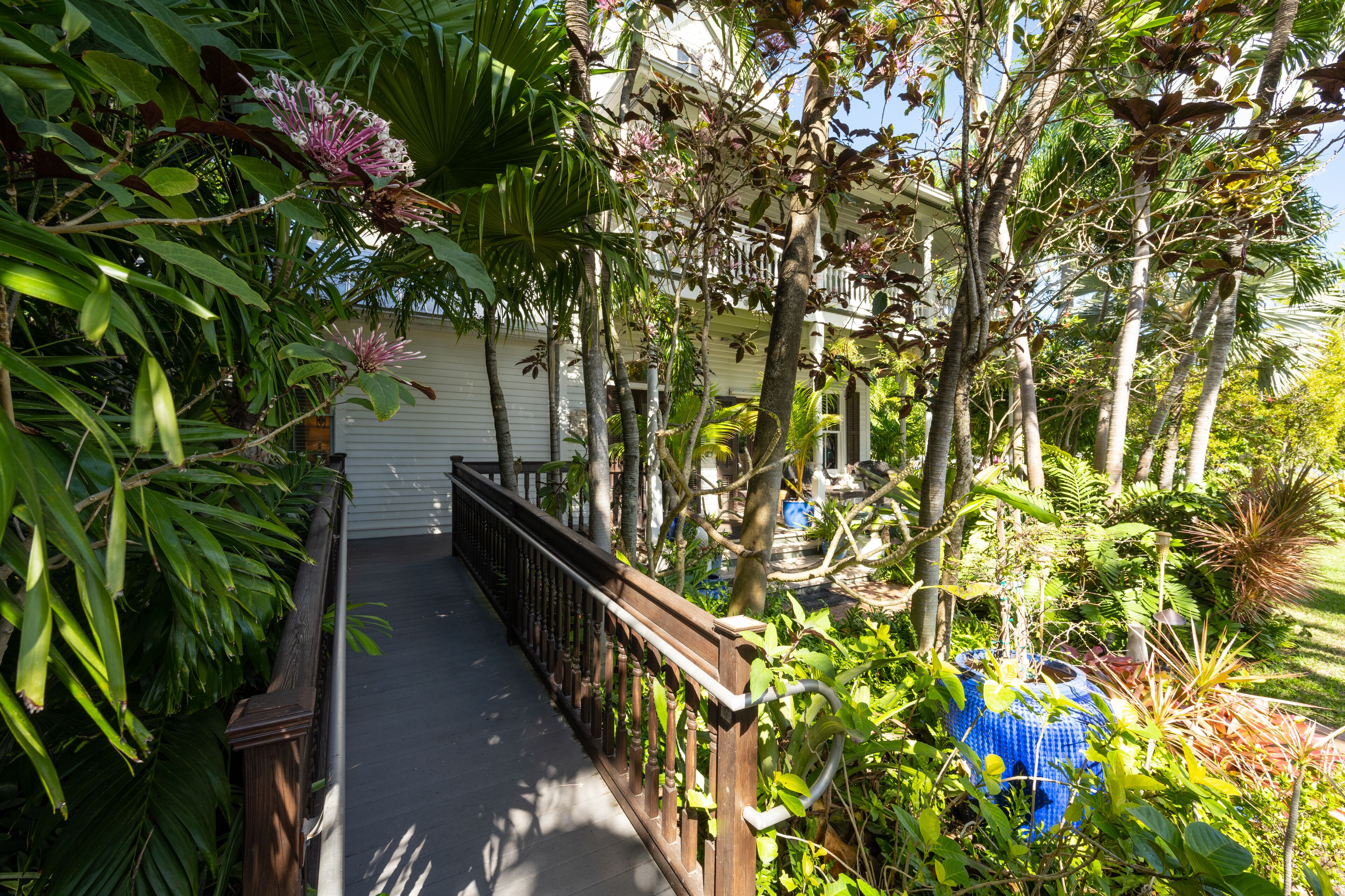 Photo - The Mermaid & The Alligator