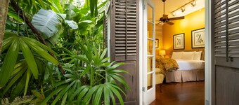 The Mermaid & Alligator