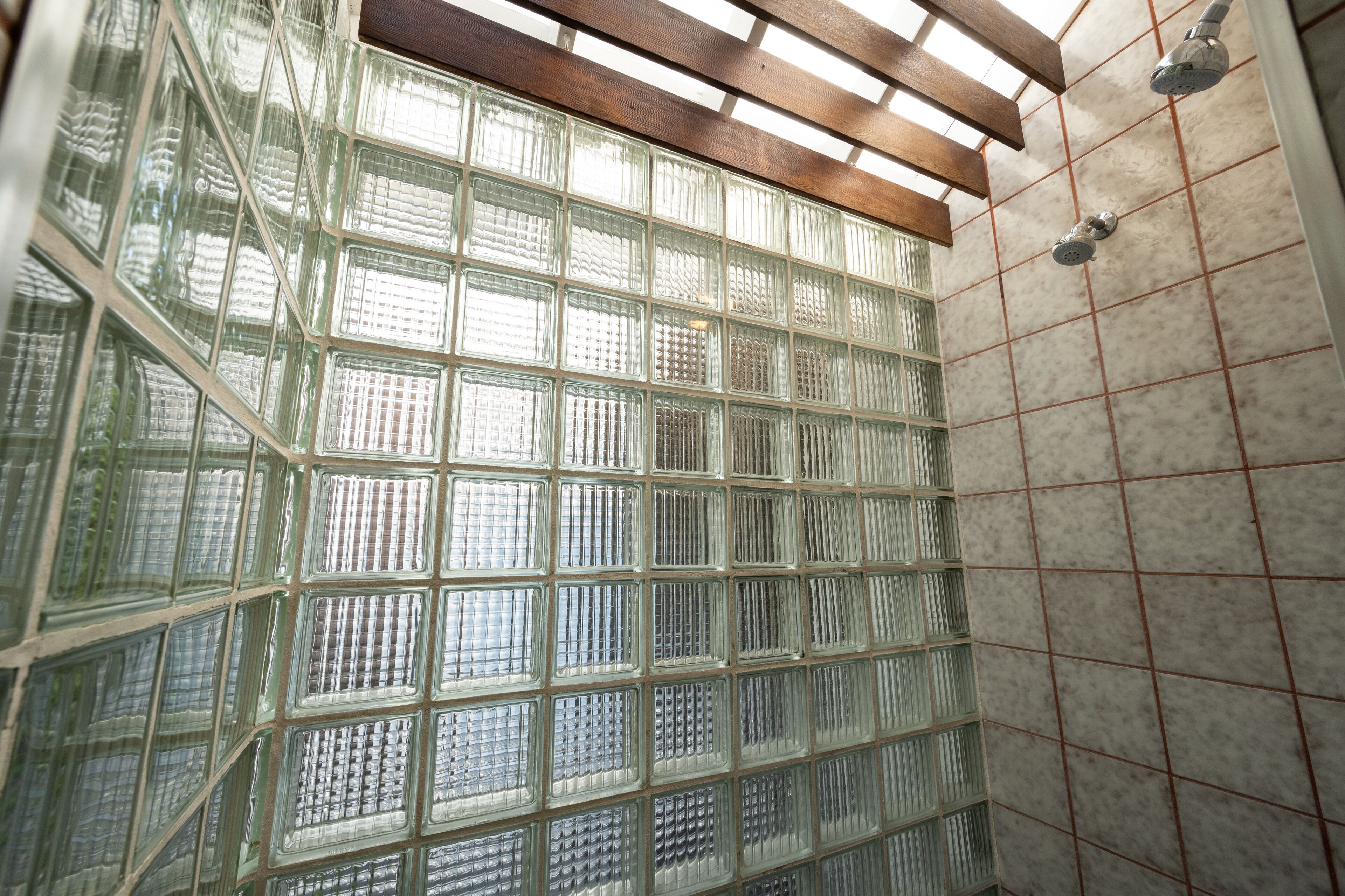 Photo - The Mermaid & The Alligator