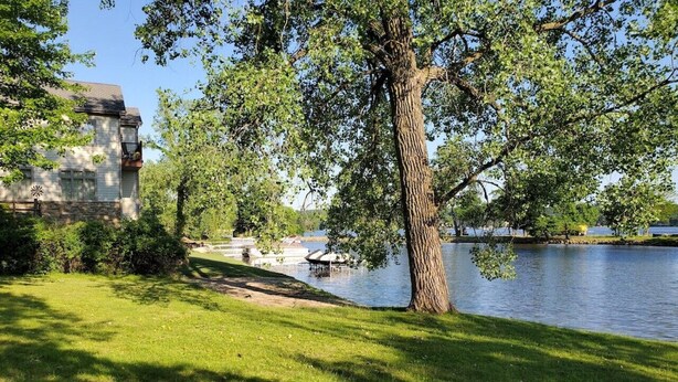 A grassy area with a large tree and a body of water.
