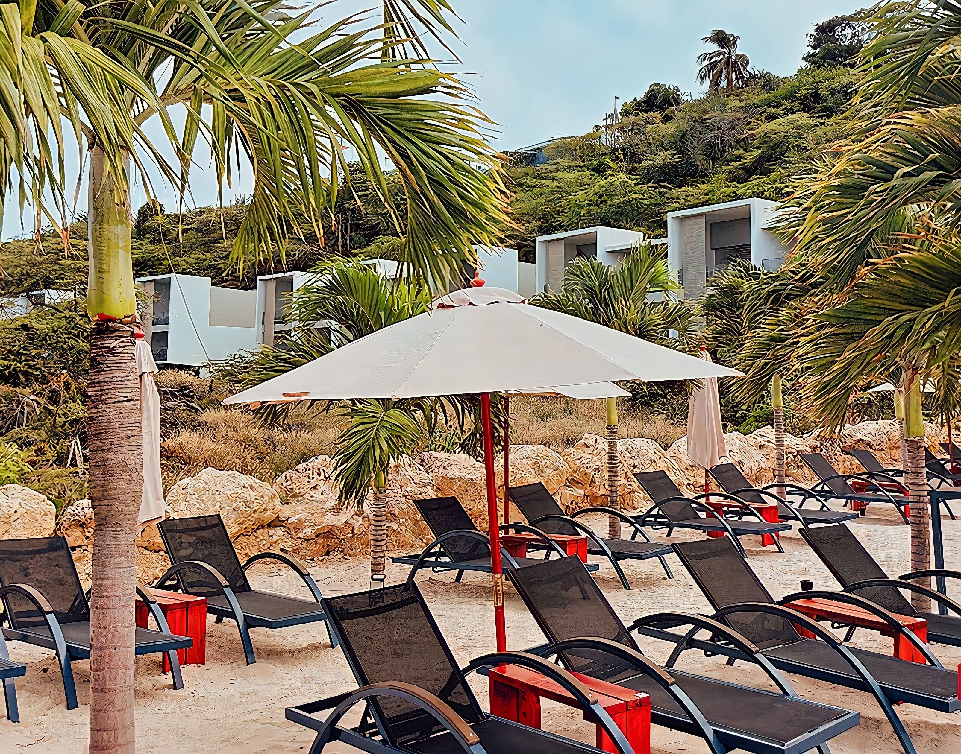 Foto - The Ritz Residence