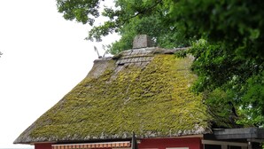 Een gebouw van rode bakstenen met een rieten dak, een klein terras en een duidelijke entree.