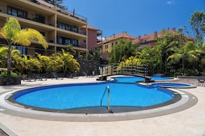 A swimming pool with a curved design, surrounded by lounge chairs and palm trees.