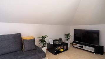 TV, books