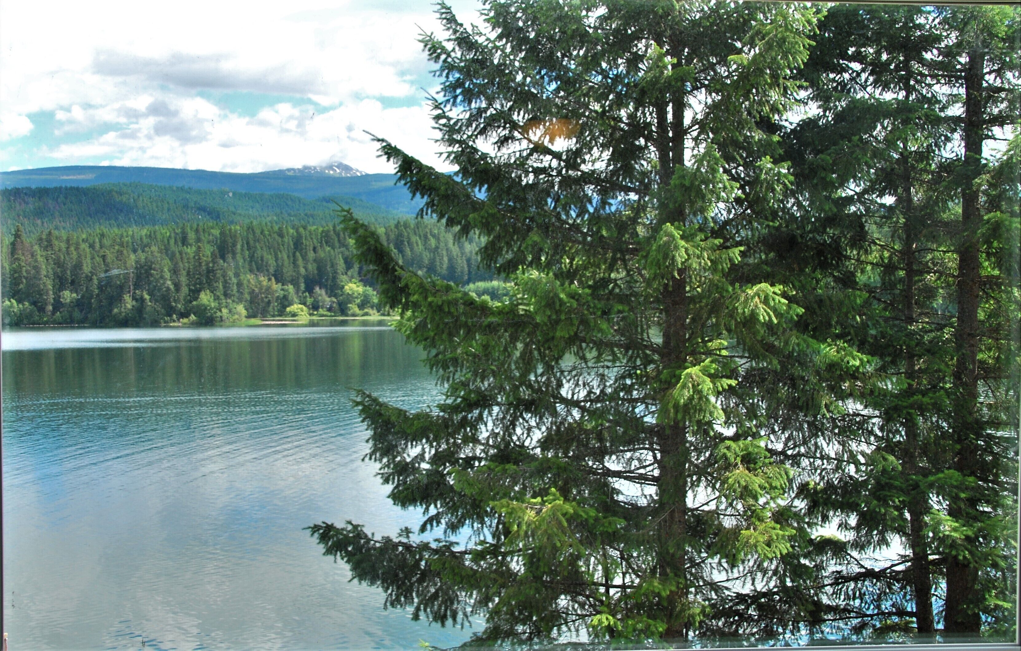 A lake surrounded by dense forest and mountains in the background.