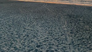 A beach with a clear sky and ocean waves.
