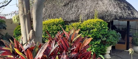 House | Property grounds