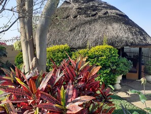 House | Garden view - Cottage Sleeps 4 With Pool (Harare)