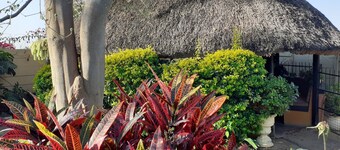 Cottage - Sleeps 4, Pool & Private Parking