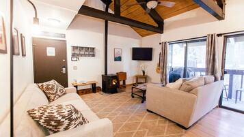 Smart TV, chimenea, reproductor de DVD y libros