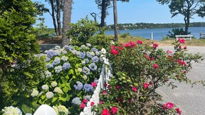 A garden with hydrangeas and roses, a white fence, and a bench by a lake. - Waterfront lake house  private beach dock (harwich)