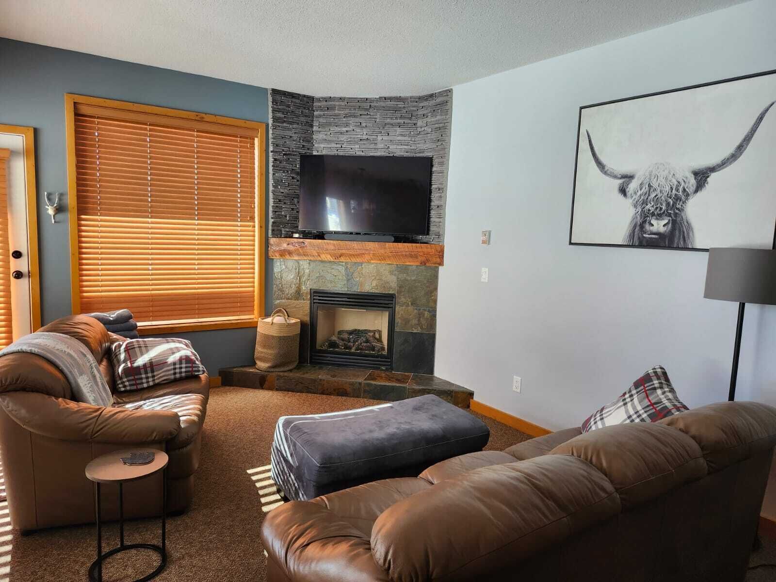 Télévision, cheminée, jeux vidéo