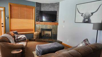 Télévision, cheminée, jeux vidéo