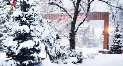 Slopeside Cabin B - Game room | Hot tub | Parking