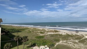 Une vue sur la plage, avec un ciel dégagé, un rivage sablonneux et quelques plantes.