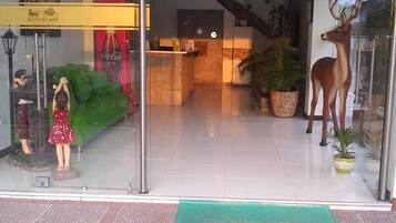 منطقة الاستقبال