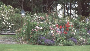 Ein Garten mit verschiedenen Blumen und einer kleinen Laube.