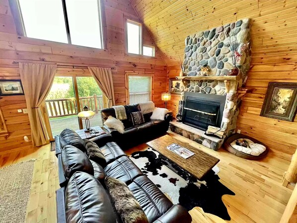 TV connectée, cheminée, jeux vidéo, lecteur de DVD