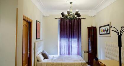 LAST MINUTE OFFER APARTMENT CENTRAL GOYA
