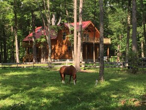 Exterior -  Stunning Riverfront Solar-Powered Cabin  with back-up generator (Glenfield)