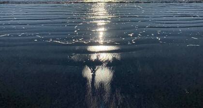 Waikanae Beach Escape - your perfect escape awaits...