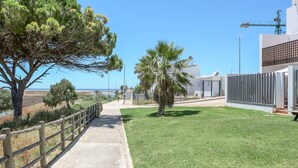 A paved pathway leading to a grassy area with a palm tree and a wooden fence.