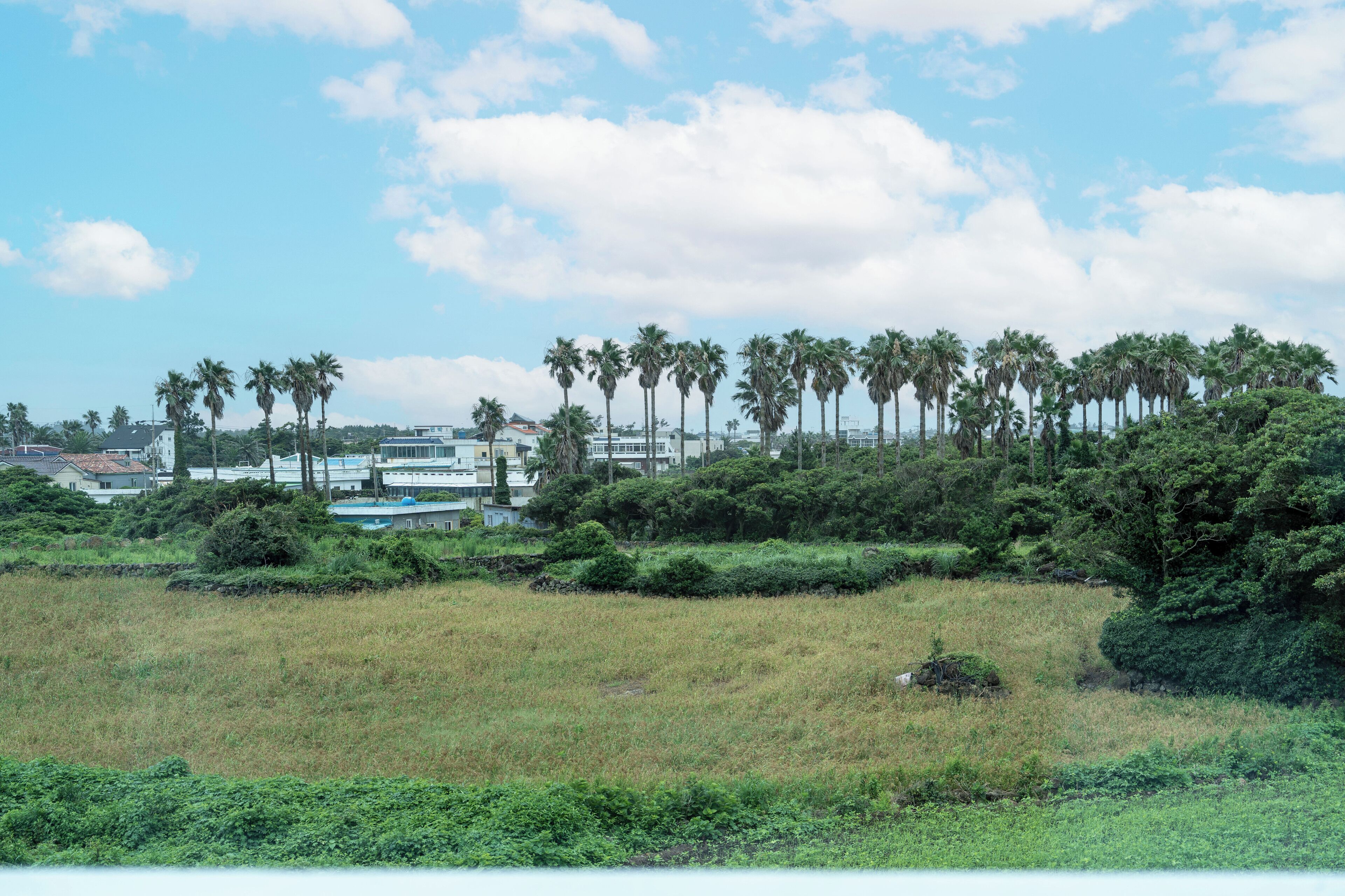 陽台景觀