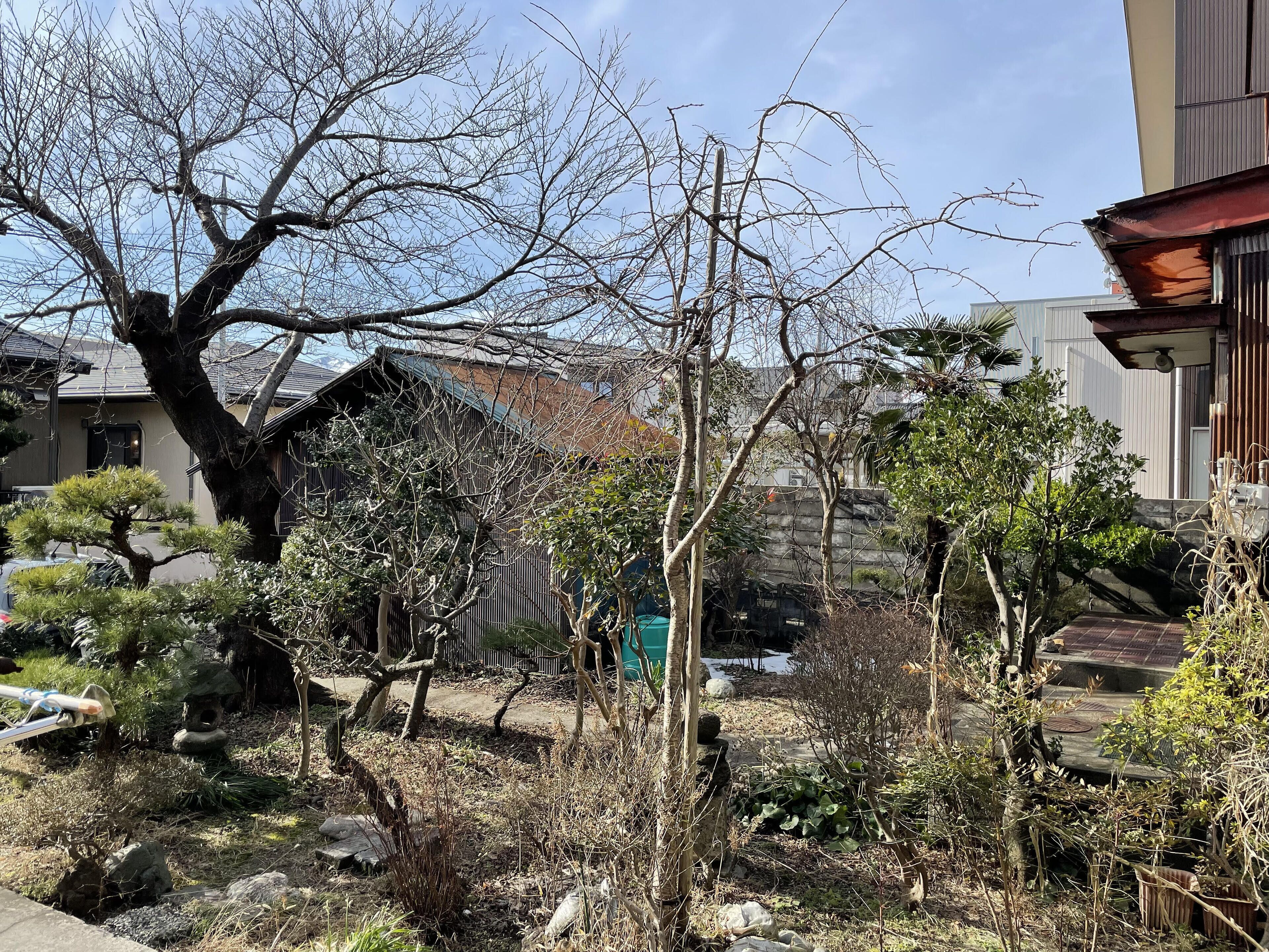 A residential area with a large tree, a small shed, and a building with a sloped roof.