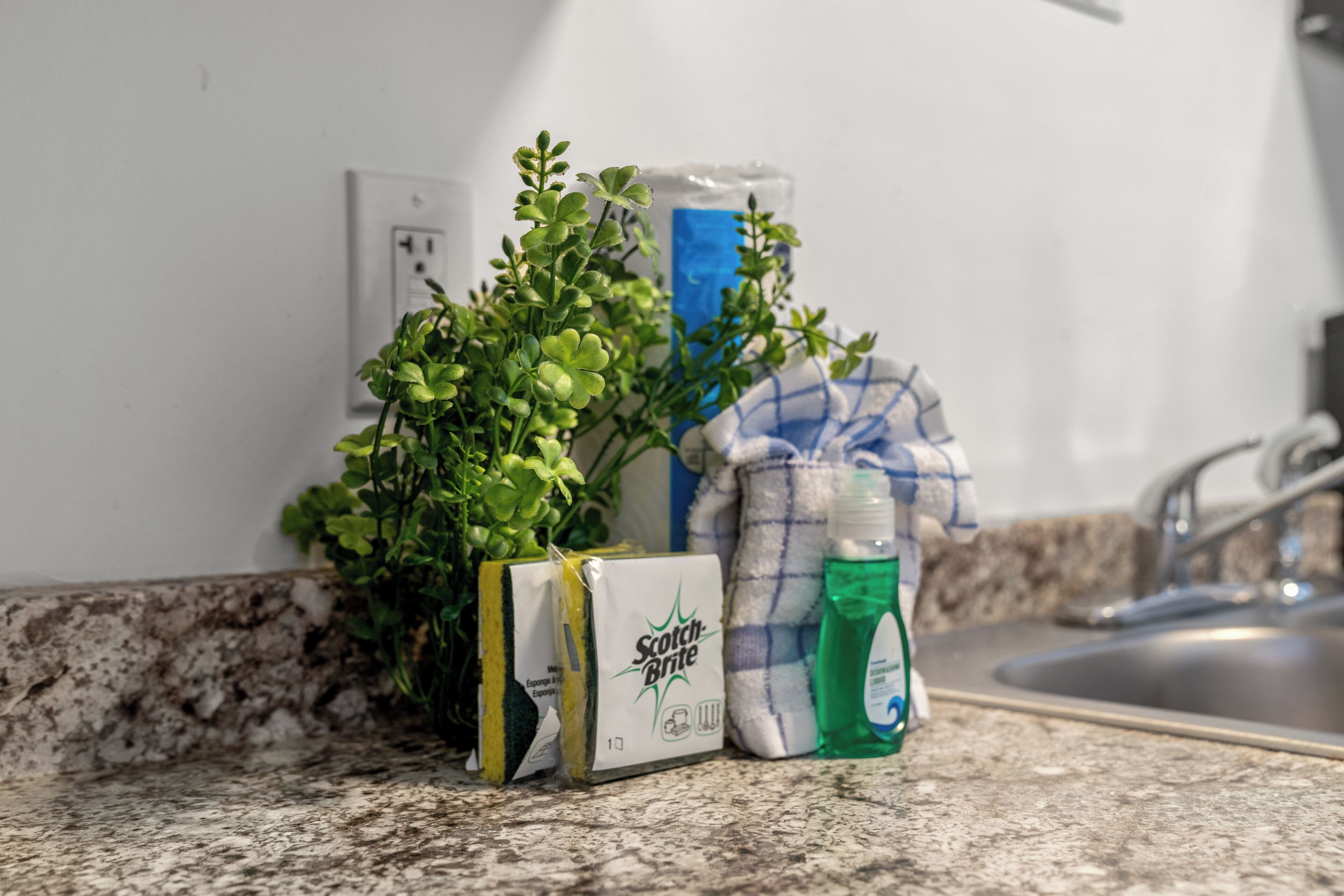 Un plan de travail de cuisine avec une plante, des éponges à récurer de la marque Scotch-Brite, un chiffon bleu et une bouteille verte.