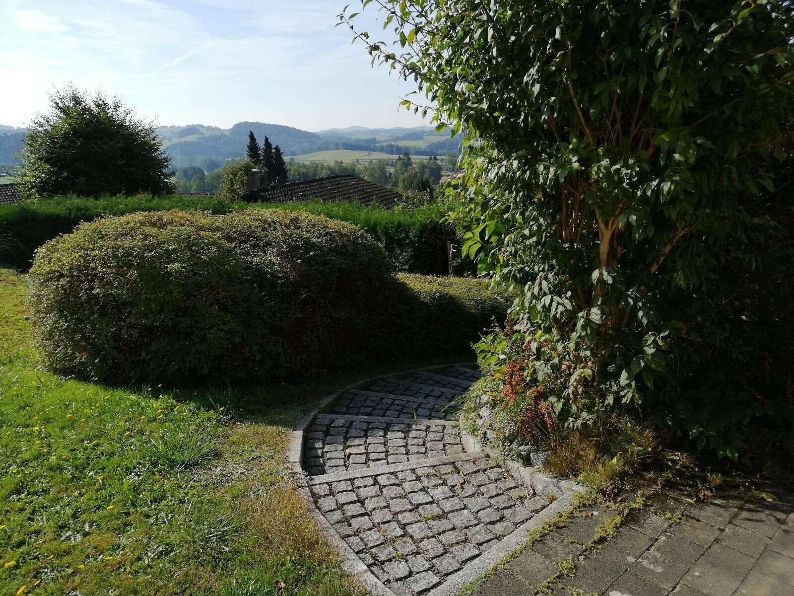 Ferienhaus Nienaber (Grafenau)-Ausblick von Haustür