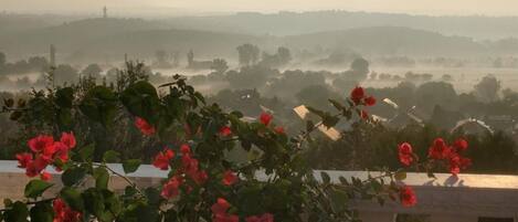 Terrain de lâhĂ©bergement