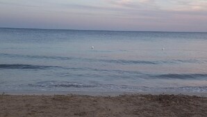A beach with calm waters and two seagulls. - Appartamento Lido Marini (Ugento)