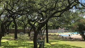 A park with picnic tables and benches under large trees. - CYC Lounge with Guest House (San Antonio)